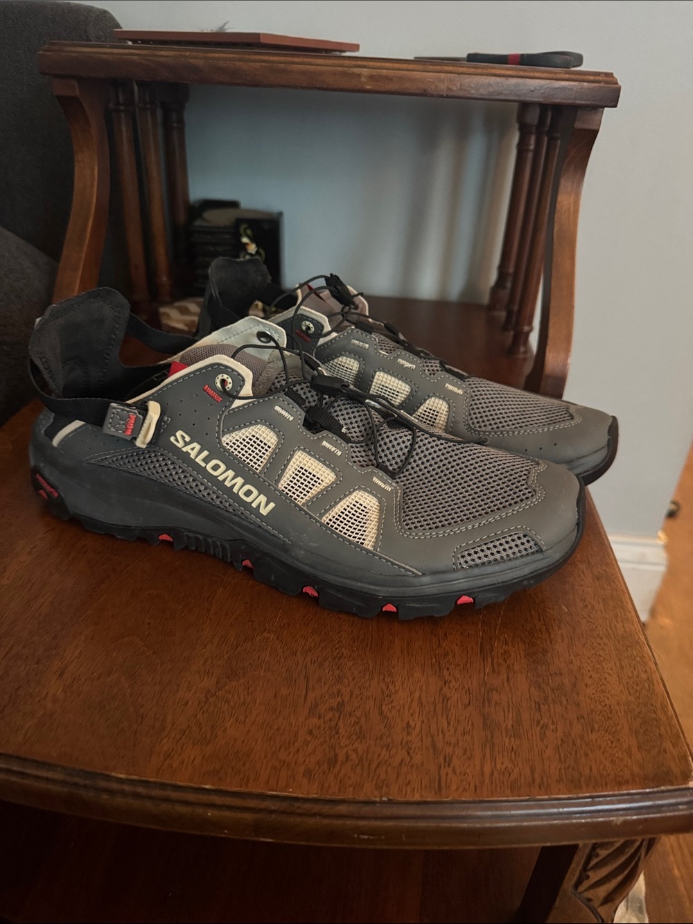 Salomon Techamphibian 5 Water Hiking Shoe